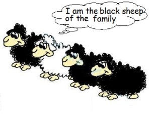 black sheep hehe